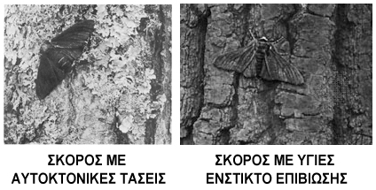 Είναι όντως η επιβίωση το νόημα της ζωής μας;